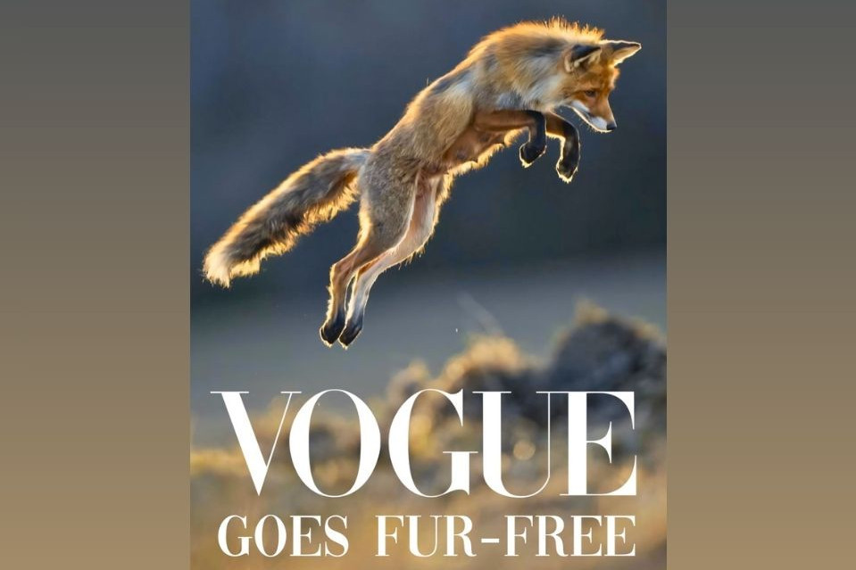 "Vogue", "Vanity Fair", "The New Yorker" i "GQ" z zakazem umieszczania zdjęć futer