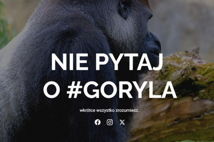 Jarosław Olechowski, Karol Gnat i nadawca Republiki wśród udziałowców spółki Goryla