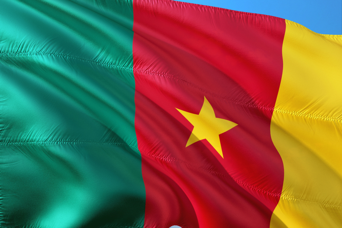 Czterech dziennikarzy aresztowanych, a reporter AP pobity w Kamerunie podczas relacjonowania deportacji z USA