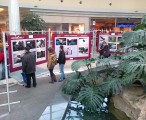 W Silesia City Center najlepsze zdjęcia Grand Press Photo można było oglądać także w ubiegłym roku 