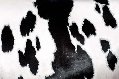 (fot. Tymon Markowski)