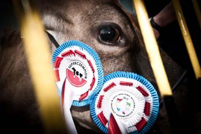 (fot. Tymon Markowski)