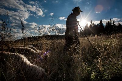 (fot. Tomasz Woźny)