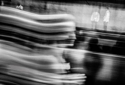 (fot. Piotr Piwowarski)