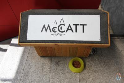 (fot. McCann Worldgroup)