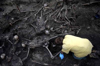 (Fot. Dariusz Delmanowicz)