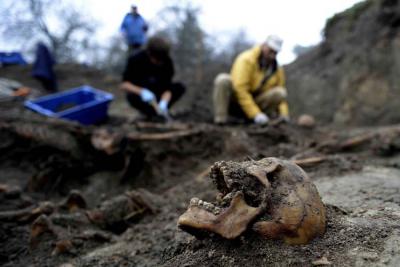 (Fot. Dariusz Delmanowicz)