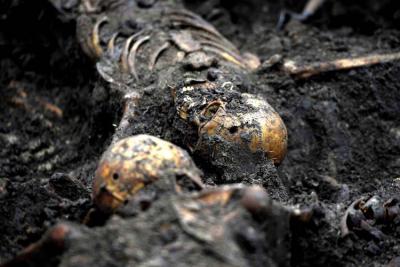 (Fot. Dariusz Delmanowicz)