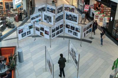 (fot. Anna Kaczmarz/Polskapresse)