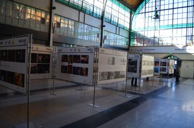 Kliknij, aby powiększyć