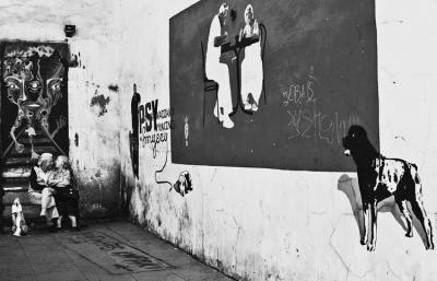 (Fot. Justyna Rojek)