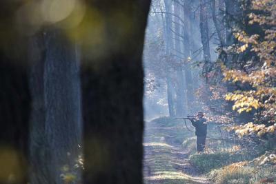 (fot. Tomasz Adamowicz)